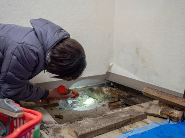 Best Mold Removal for HVAC Installations  in Vaiden, MS
