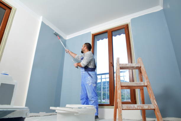 Best Environmental Consulting for Mold Prevention  in Vaiden, MS