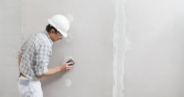 Best Mold Damage Restoration  in Vaiden, MS