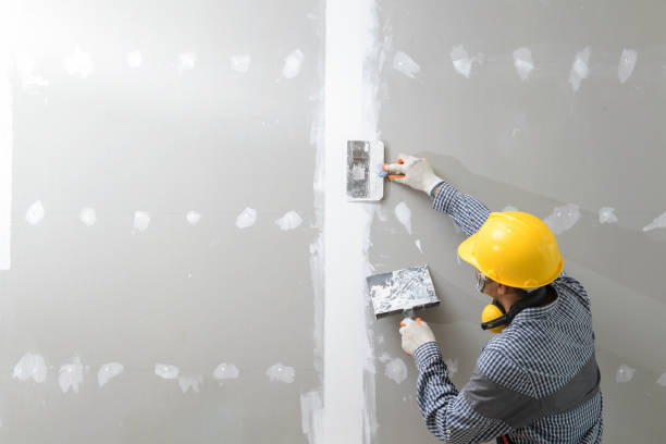 Best Mold Odor Removal Services  in Vaiden, MS