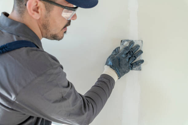  Vaiden, MS Mold Removal Pros