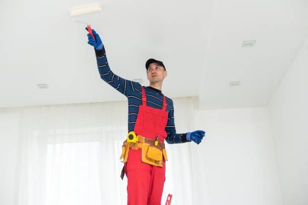 Mold Removal for HVAC Installations in Vaiden, MS