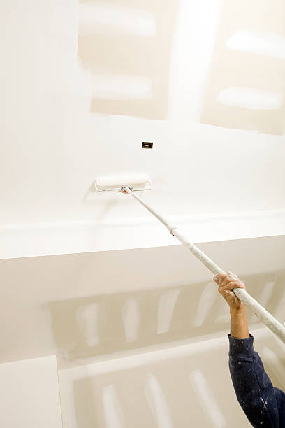 Best Post-Construction Mold Inspection  in Vaiden, MS