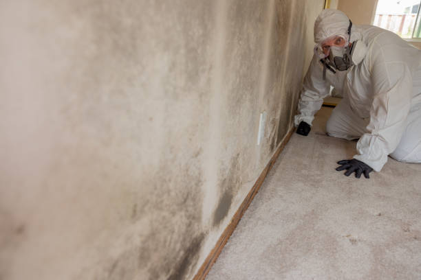 Best Crawl Space Mold Remediation  in Vaiden, MS