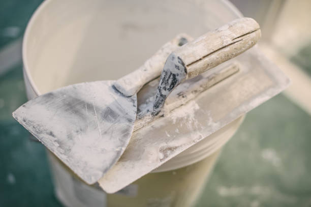 Best Mold Removal for HVAC Installations  in Vaiden, MS